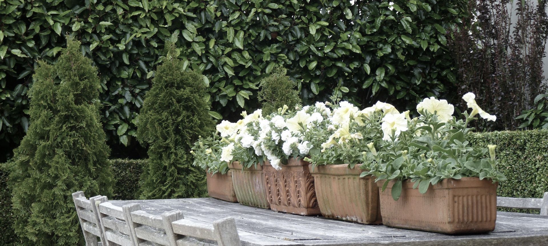 Central Tce: elegant garden banner