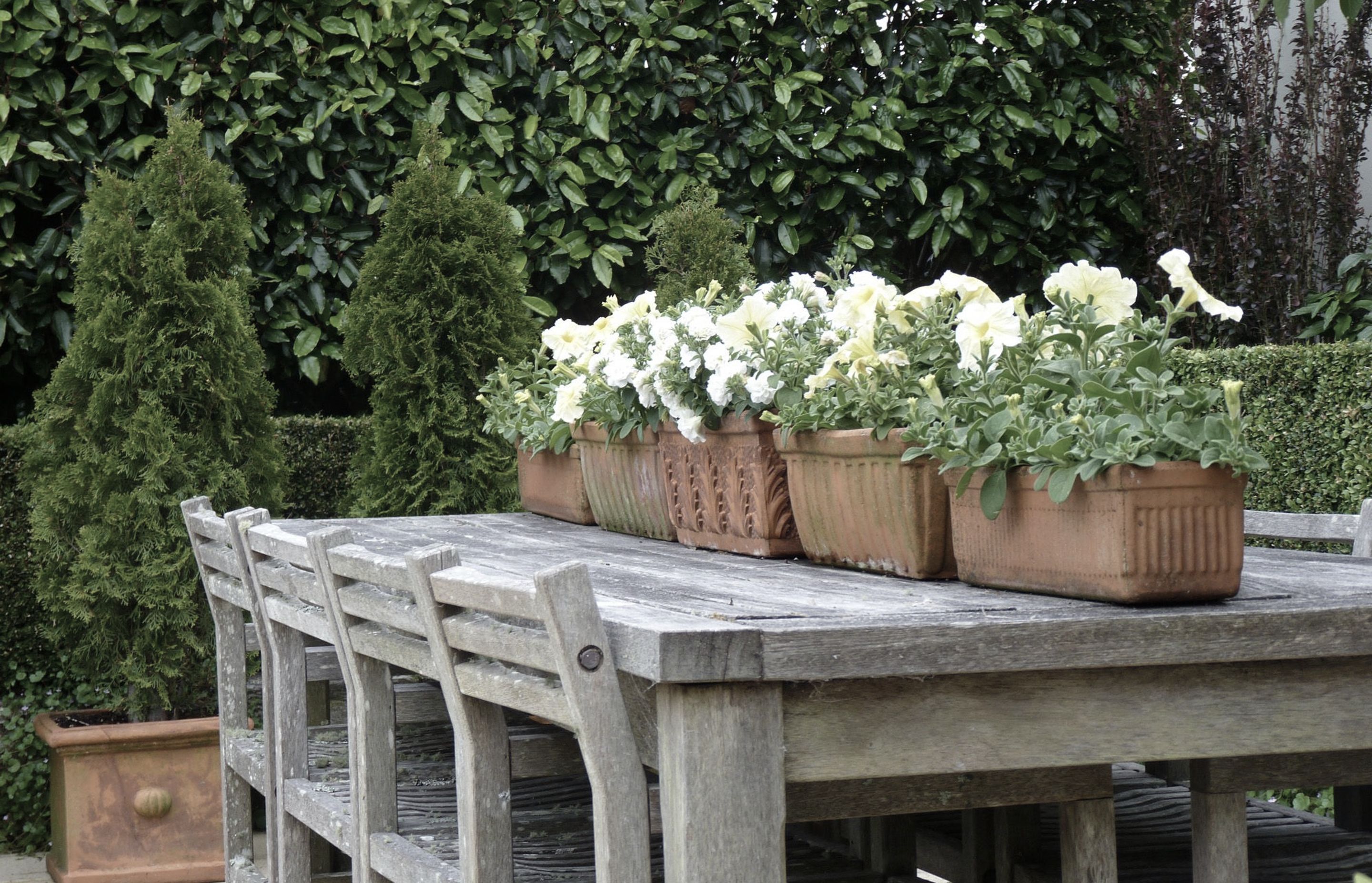 Al fresco living & dining