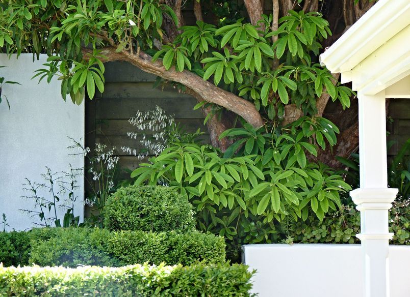 Central Tce: elegant garden