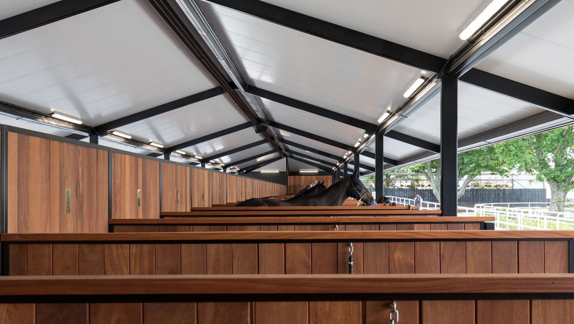 Ellerslie Stables banner