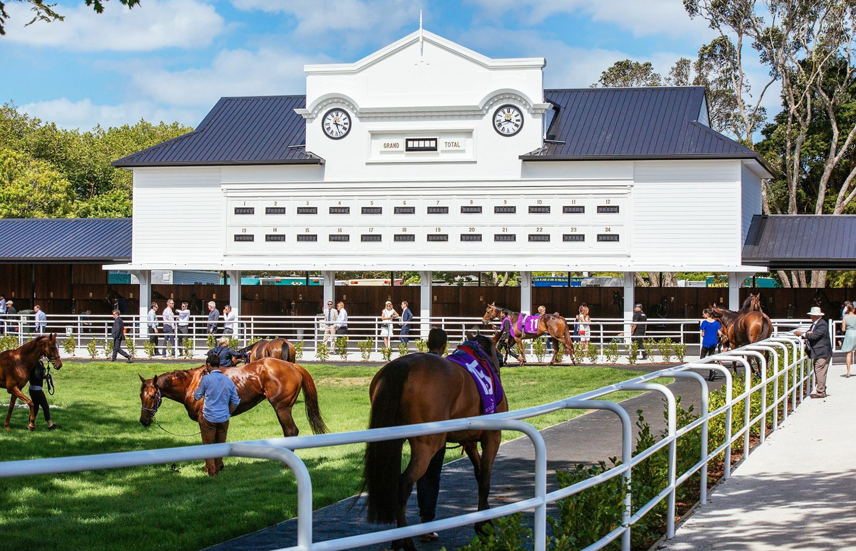Images courtesy of Auckland Racing Club.
