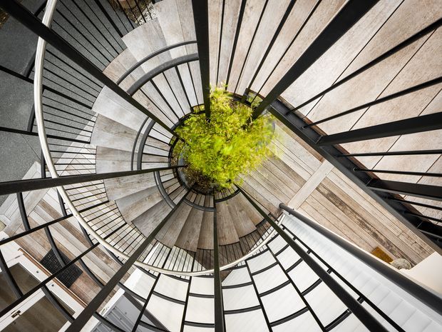 Upward-looking view through a sculptural spiral stairway or circular stairwell, with curved timber-clad steps, black metal balustrades and structural framing wrapping around a central planted feature. The composition creates a dramatic radial pattern with contemporary architectural detailing.