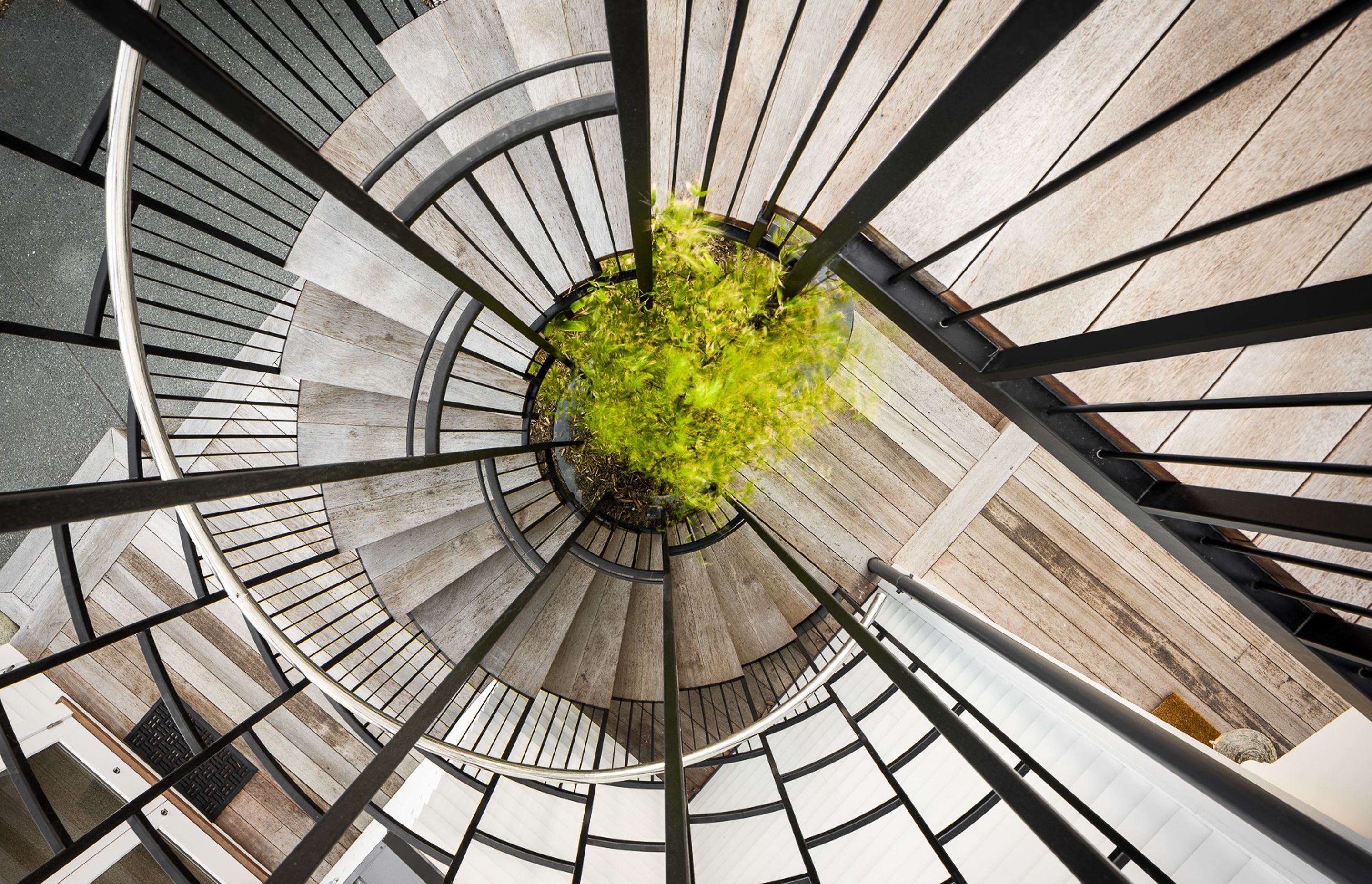 The stainless steel spiral staircase has a bamboo plant sitting within its core and connects decks from the ground-floor media room to the kitchen and dining area on the first floor.