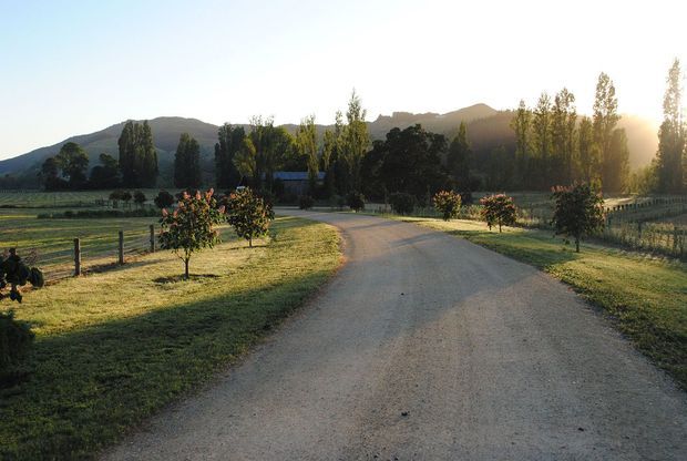 A wide gravel driveway curves through a landscaped rural property, bordered by young orchard trees, fencing and open fields. Tall trees and layered mountains form the background, with warm low sunlight creating a tranquil country setting.