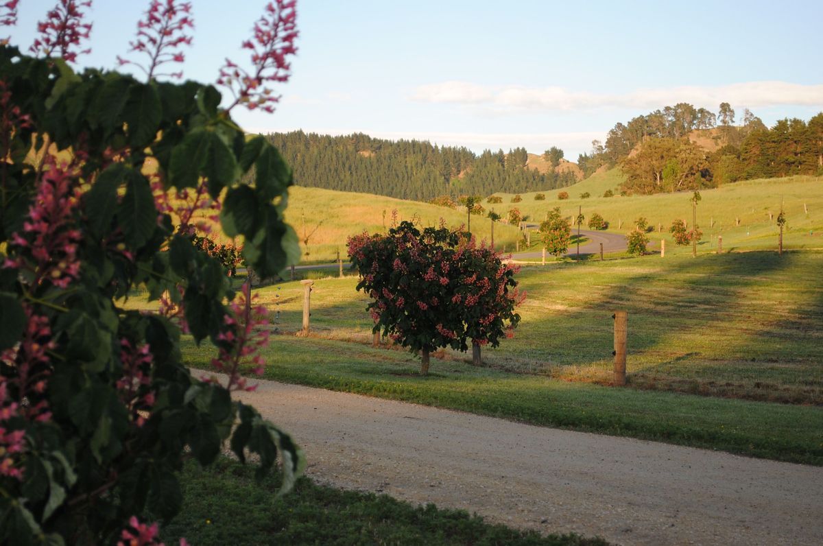 Euchre Farm
