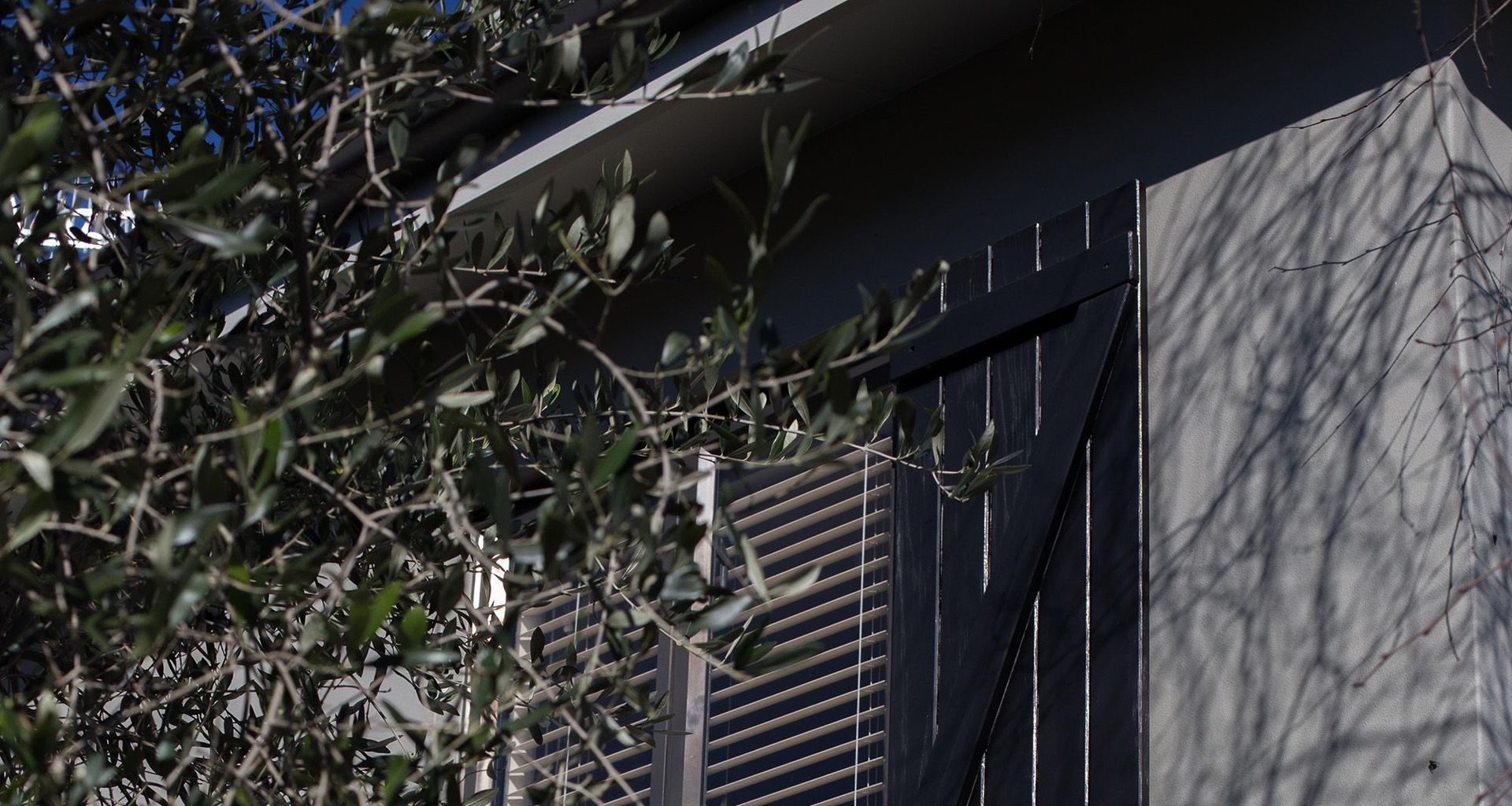 exterior elegance banner
