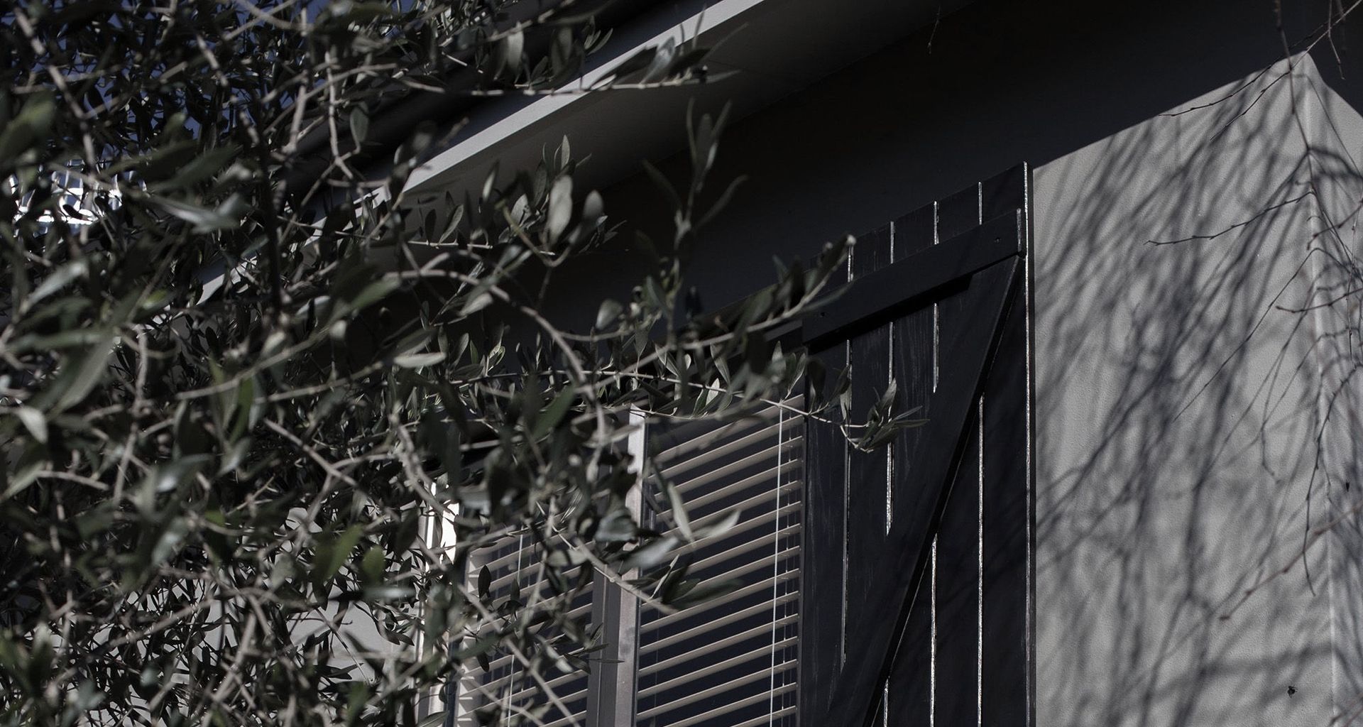exterior elegance banner