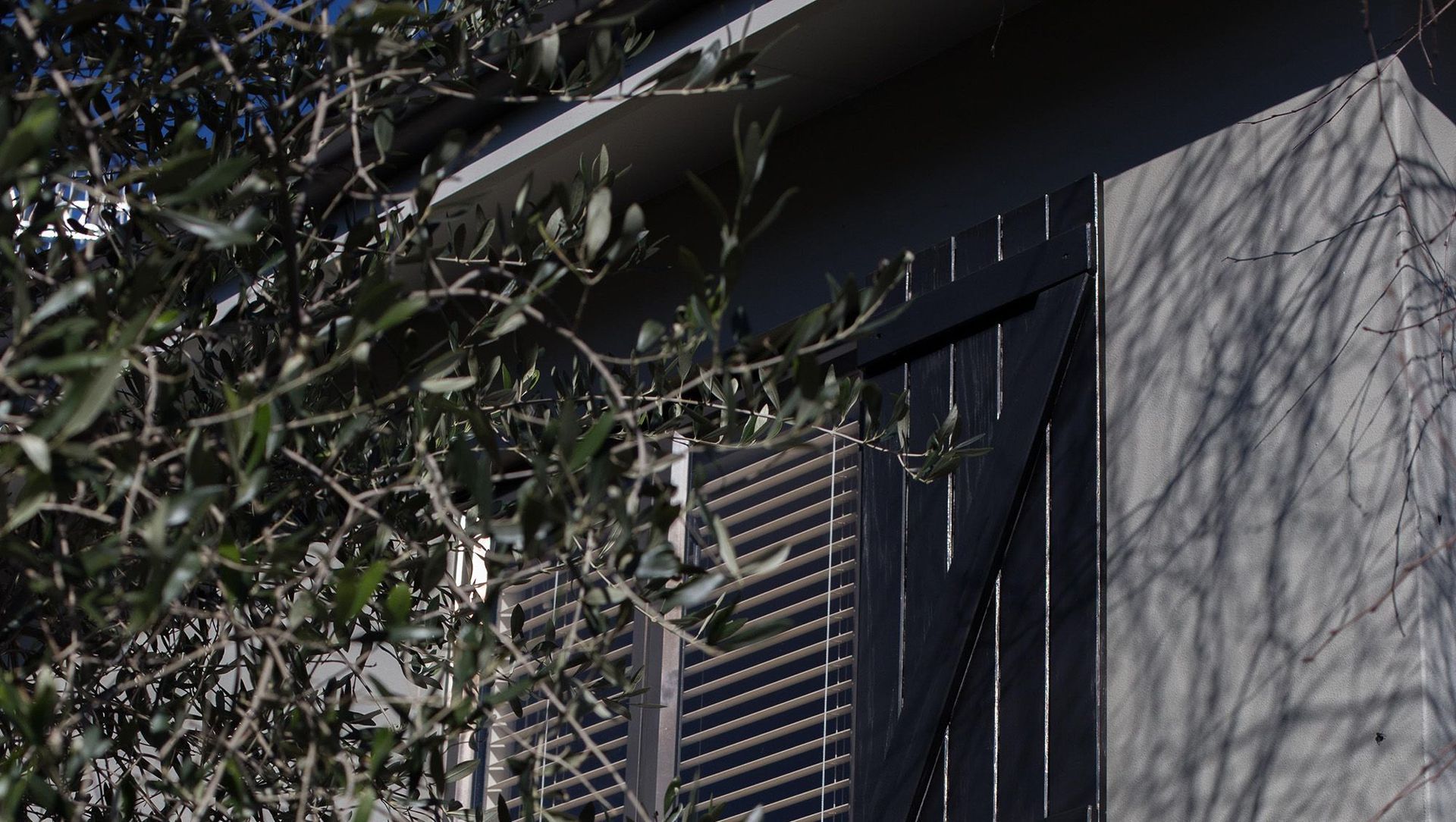 exterior elegance banner