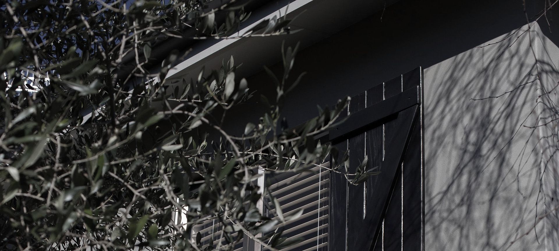 exterior elegance banner