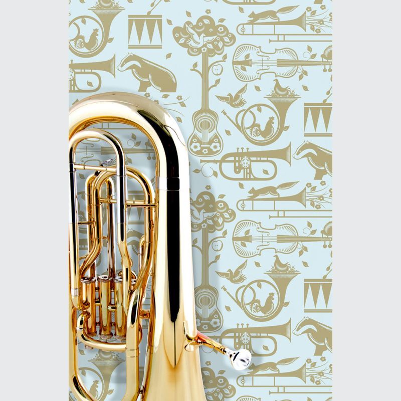 Folk Rock Collection by Mini Moderns