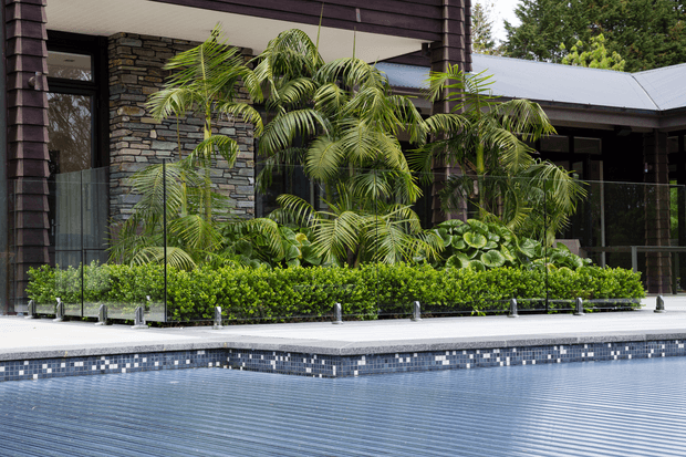 A contemporary residential pool area with a tiled swimming pool in the foreground, a raised planted garden bed filled with tropical palms and lush greenery, and dark stone-clad walls with extensive glazing behind it. The building has a low-pitched metal roof, dark vertical cladding or timber-look columns, and a transparent glass pool barrier.
