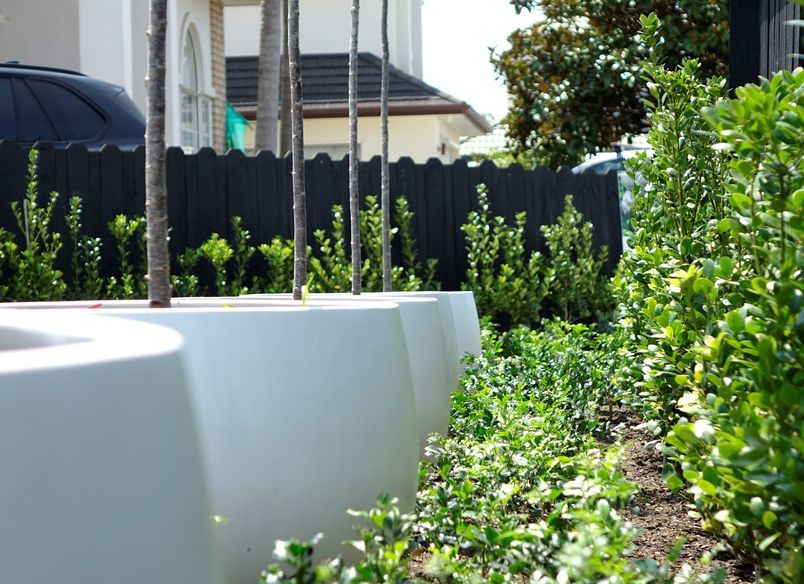 Golflands | Auckland