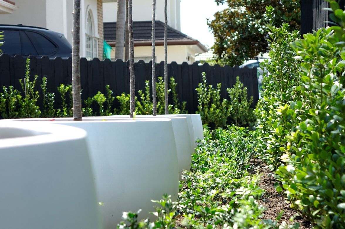 Golflands | Auckland