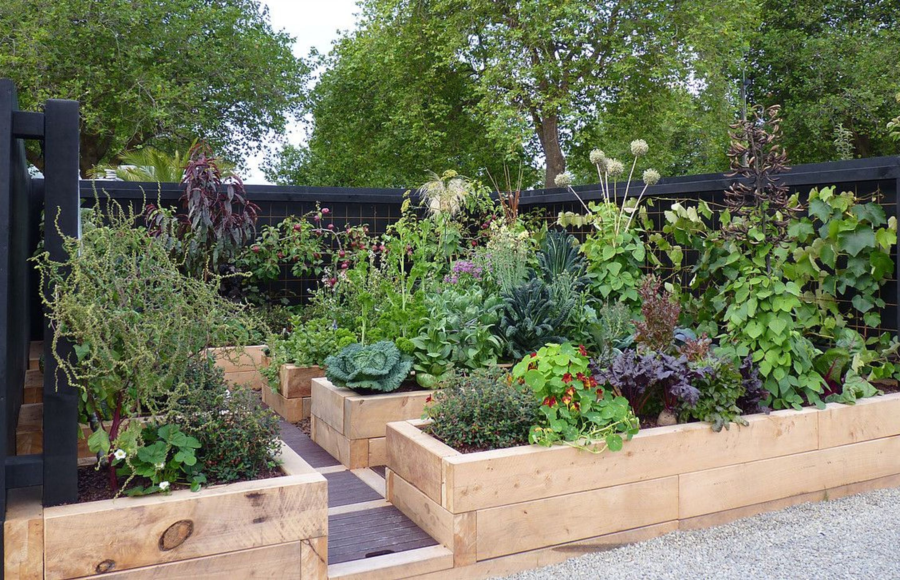 Gold medal vege garden designed for Tom &amp; Narbara Good, from 1970s TV series "The Good Life". Like the owners, the veggies are bolting &amp; going to seed!