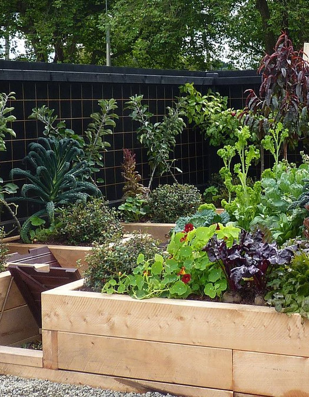 Ballerina apple columns grown against the walls