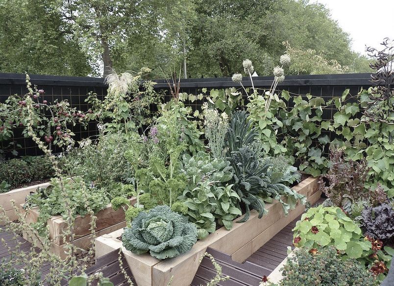 Gone to Seed: gold medal vege