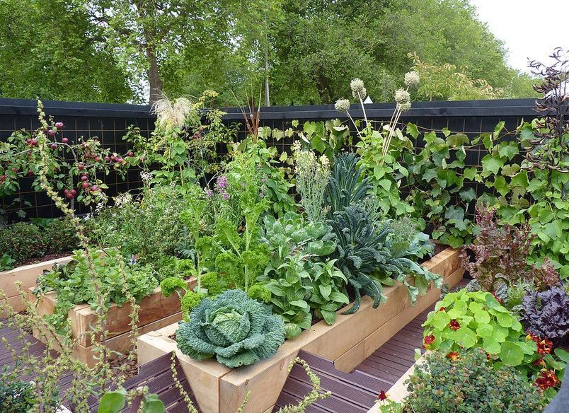 Gone to Seed: gold medal vege