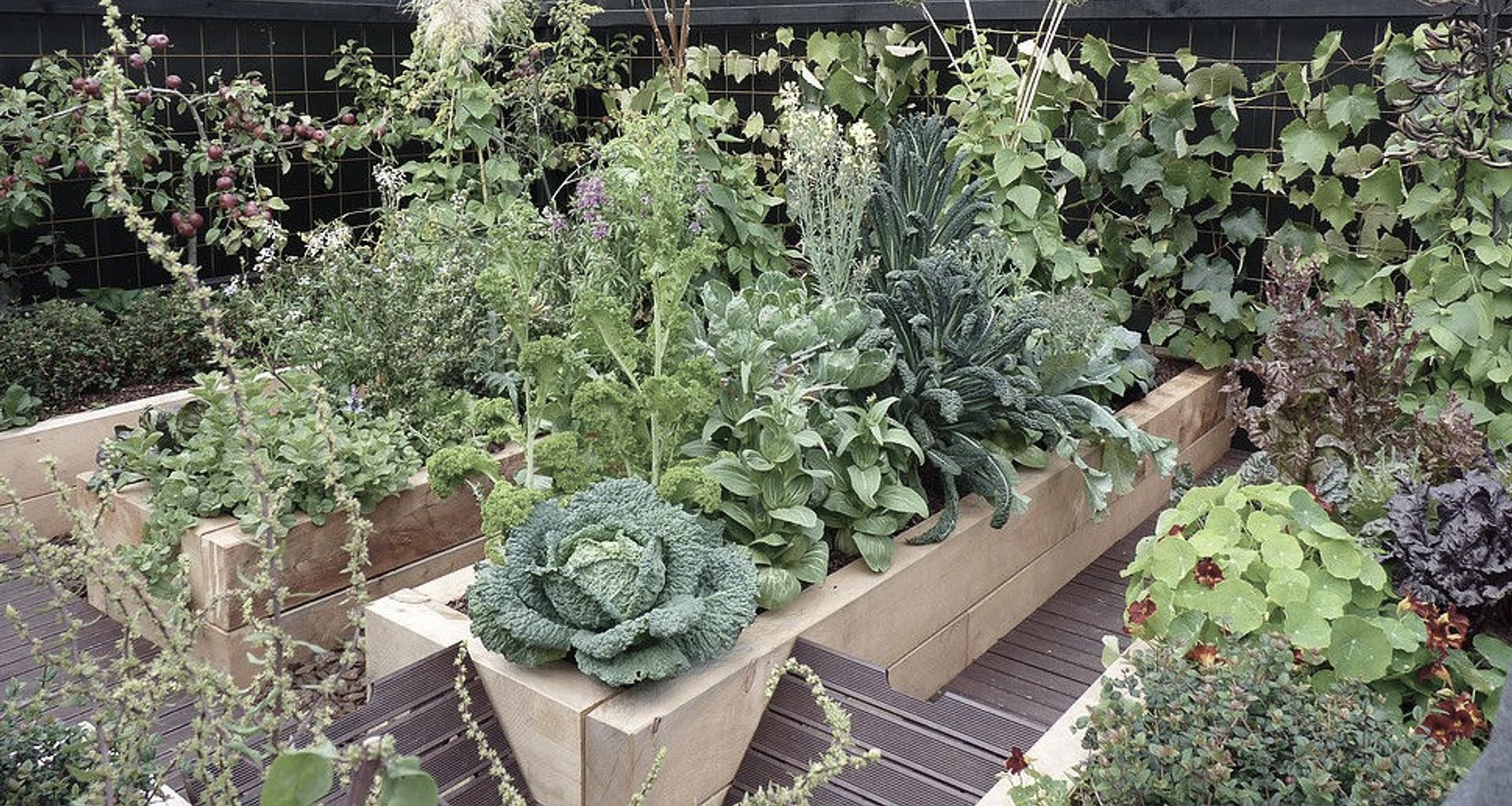 Gone to Seed: gold medal vege banner