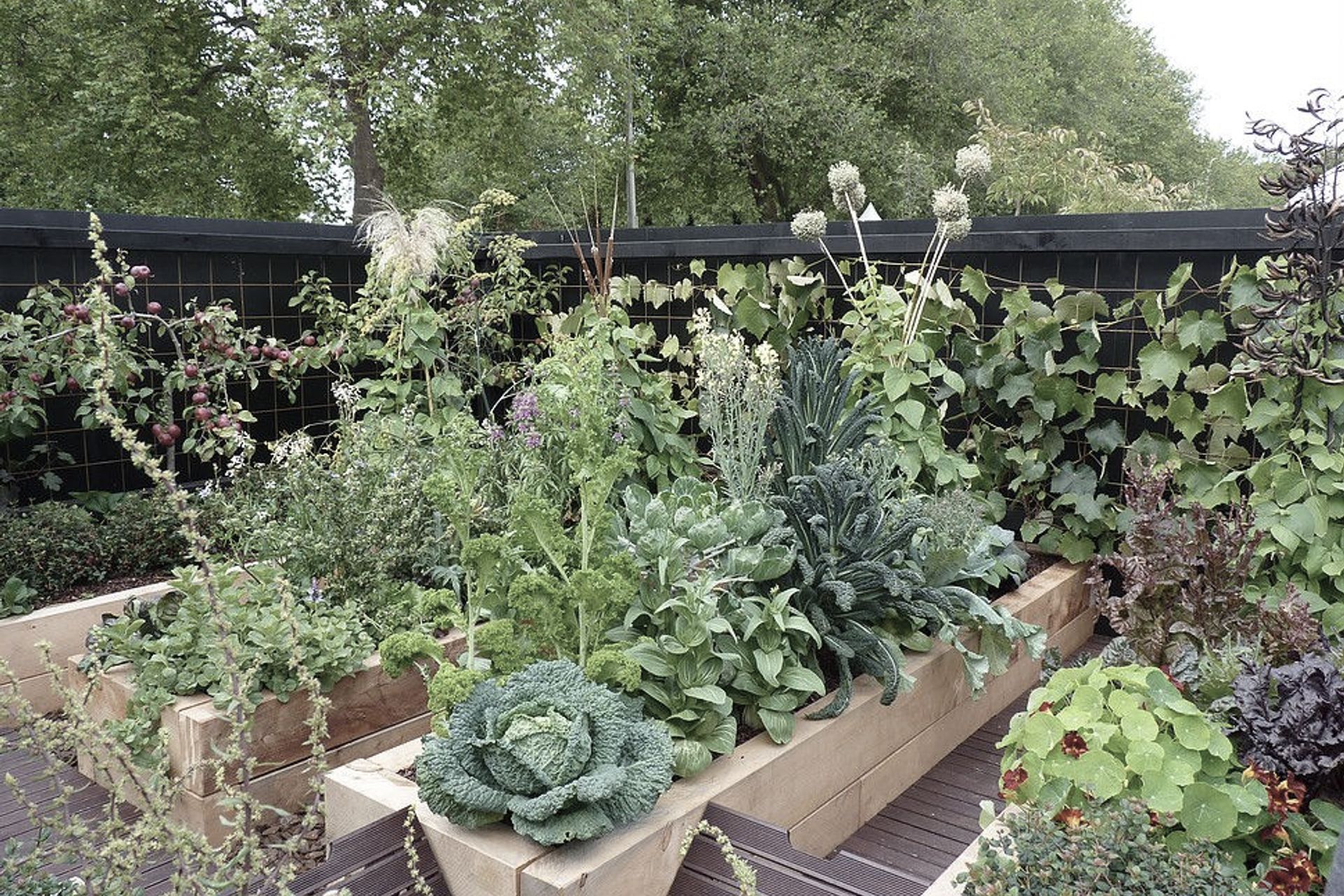 The garden follows sustainable & organic bast practices eg planting in families and rotating beds, insterspersed with companion planting to combat insects & diseases.