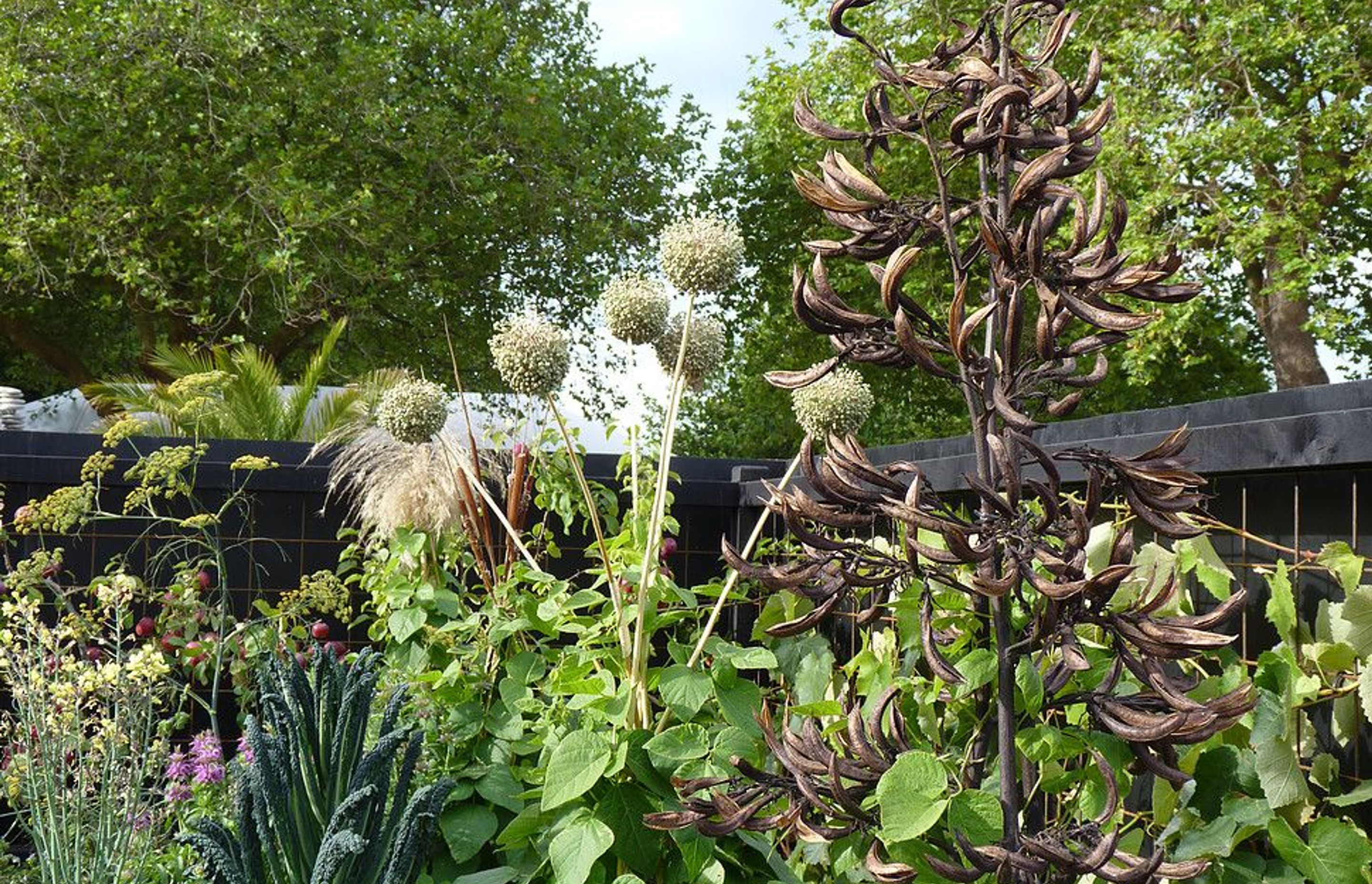 Bean frame seed heads