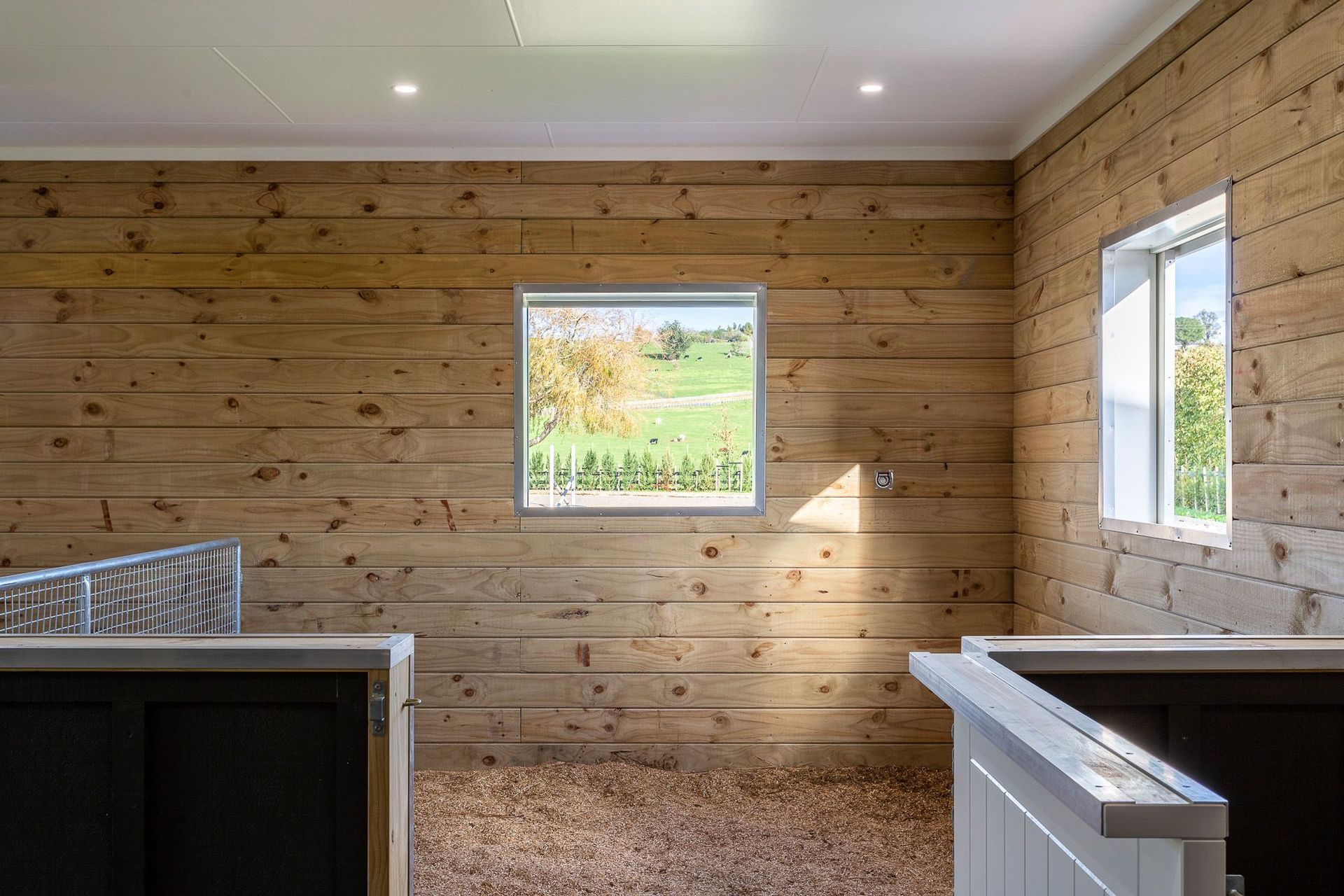 A room with a view for one of the horses.