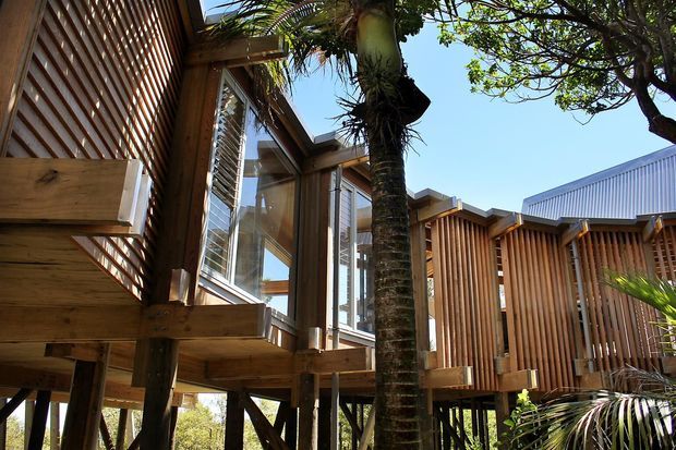 Exterior view of a raised timber-clad building in a lush landscaped setting. The structure features vertical timber screening, exposed timber framing and supports, projecting window bays with louvred blinds, and corrugated metal roof sections. The elevated construction creates an open undercroft, with tropical planting visible around the building.