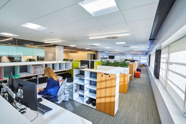 Bright contemporary open-plan office interior with rows of workstations, shelving and storage partitions, glass meeting-room walls, indoor planting, and extensive windows with blinds. The space has a suspended acoustic tile ceiling with recessed fluorescent lighting and a carpeted floor.