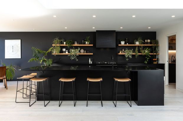 A spacious contemporary kitchen with a dramatic matte-black feature wall, black island and dark cabinetry. Open timber shelves display potted greenery and kitchenware, while four slim black-framed stools with timber seats line the island. Pale timber or light-toned flooring and a white ceiling create contrast, with recessed downlights providing even illumination. A tall open pantry or storage nook is visible at the right.