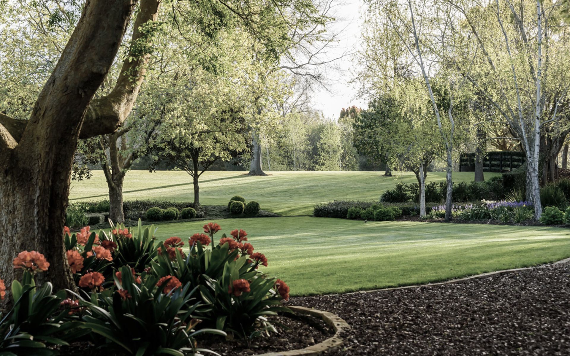 Hero Banner for Guy Brackebush Landscape Architect