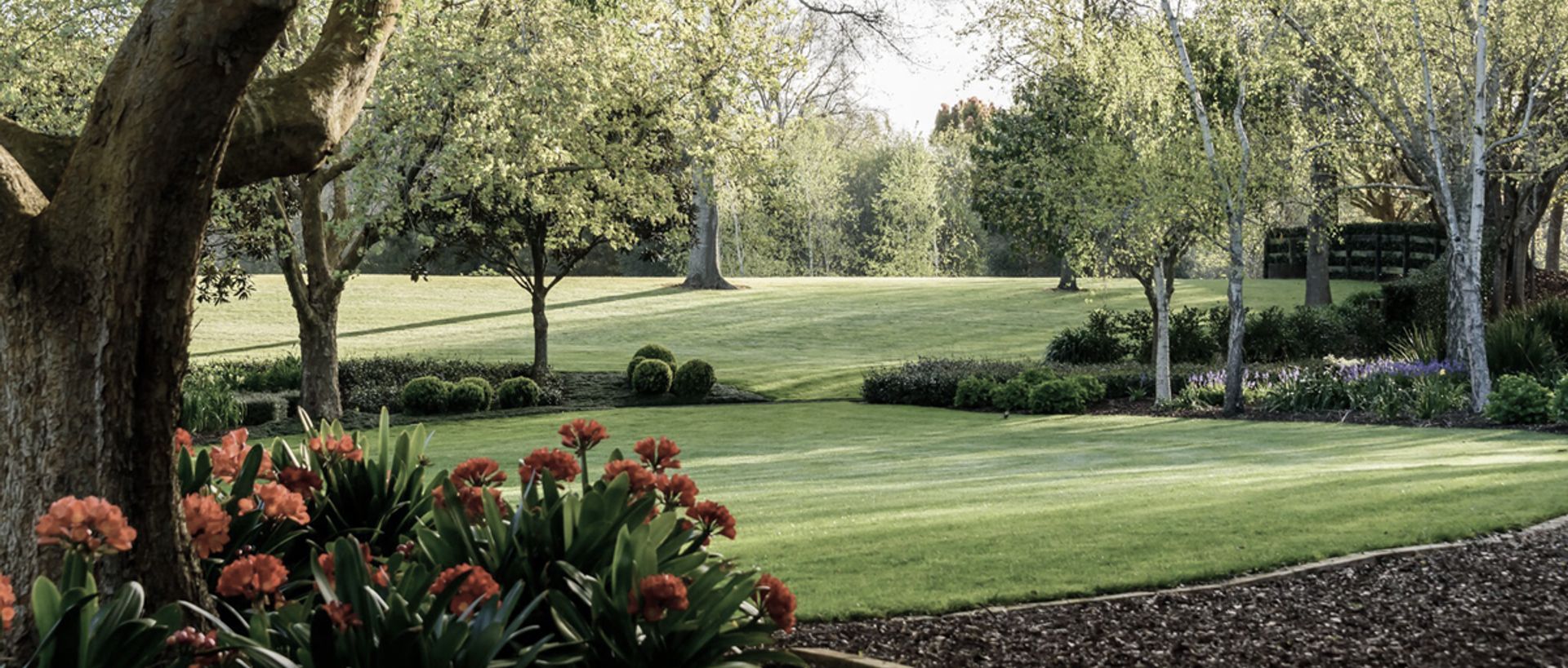 Hero Banner for Guy Brackebush Landscape Architect
