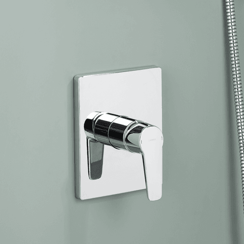 Shower Mixer Taps & Diverters ArchiPro NZ