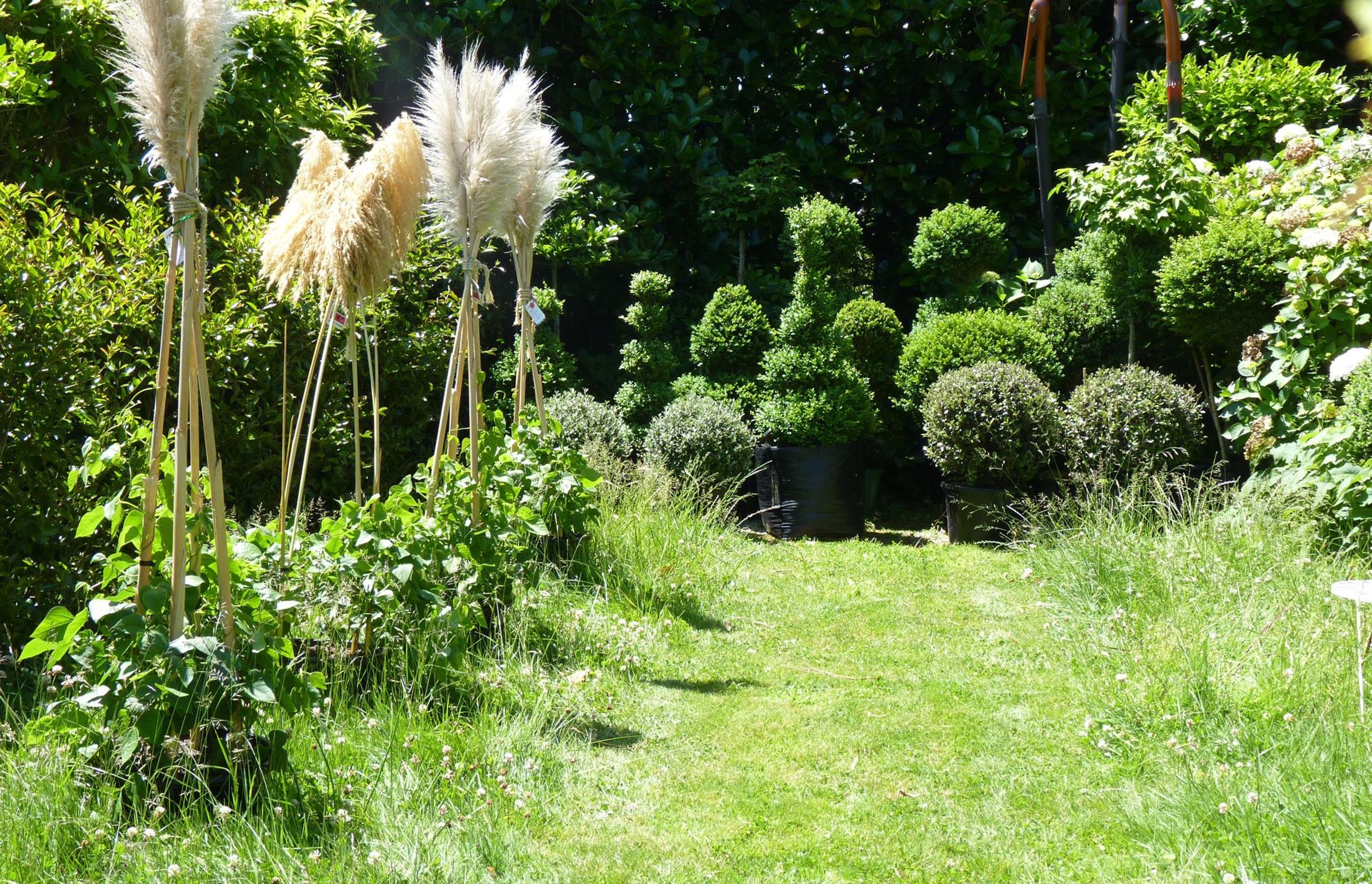 Trying out some long grass in the back garden