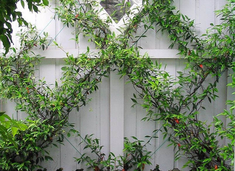 Harrold: a creative space