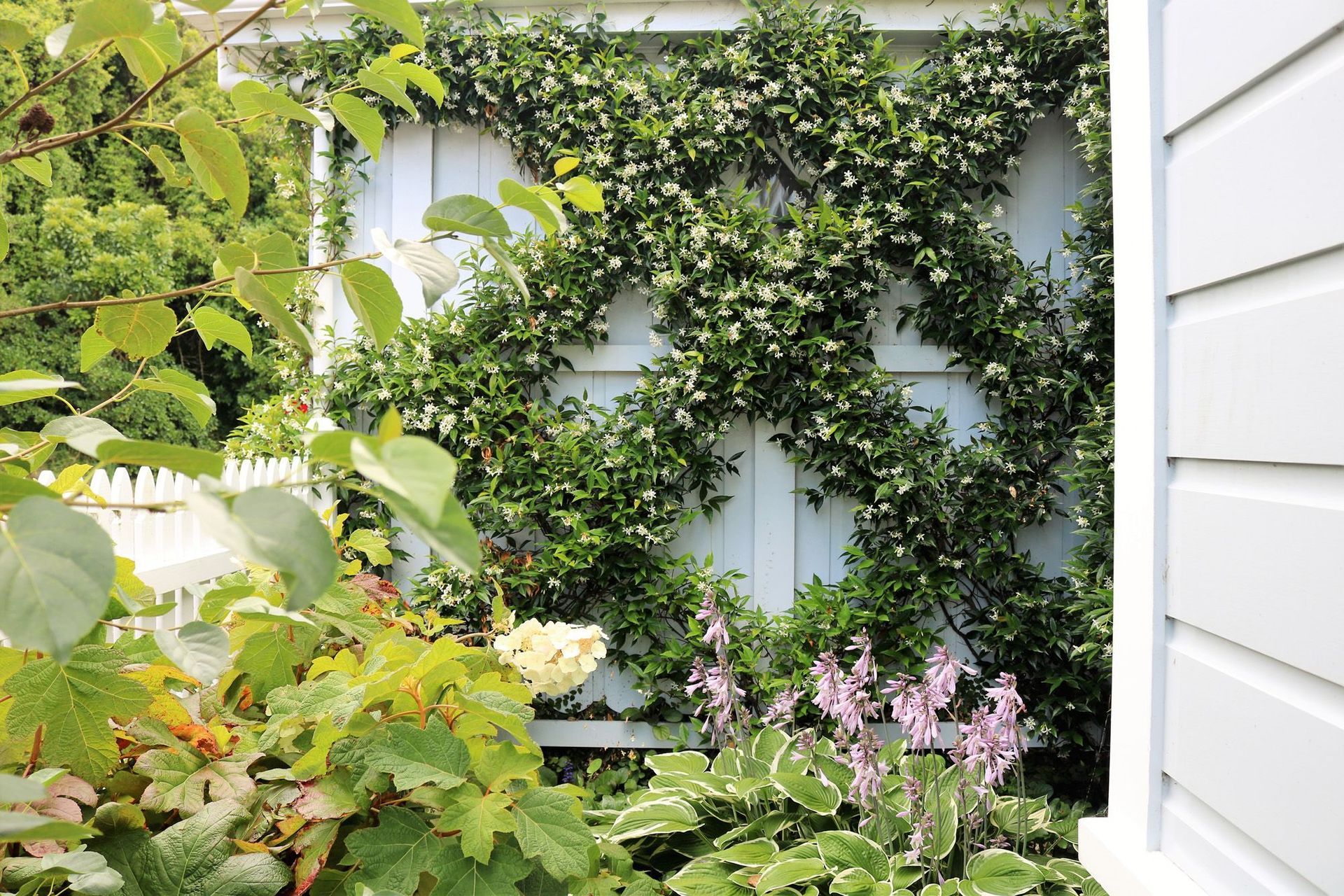 Green & white structure & seasonal combinations for a shade garden