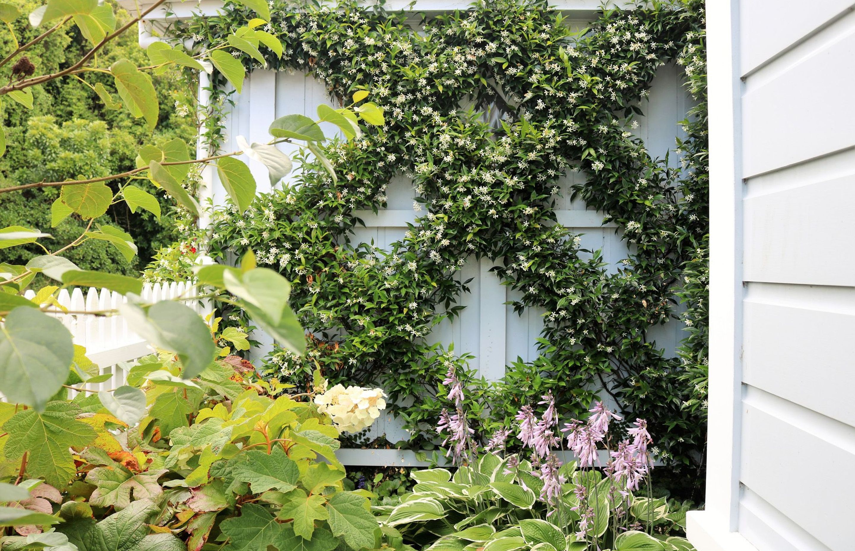 Green &amp; white structure &amp; seasonal combinations for a shade garden