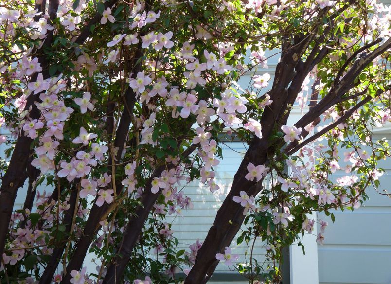 Harrold: a creative space