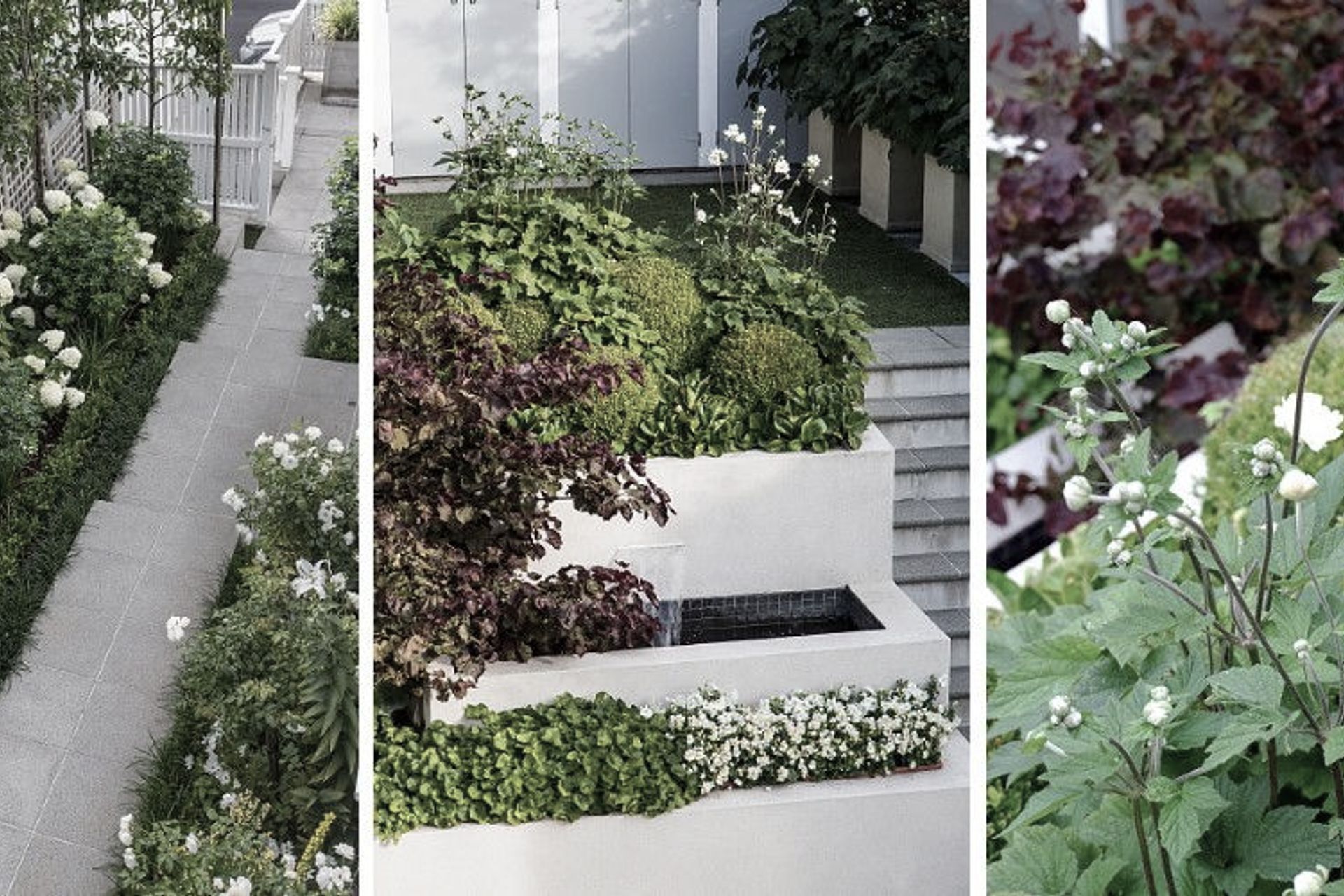 Hedge Garden Design & Nursery banner
