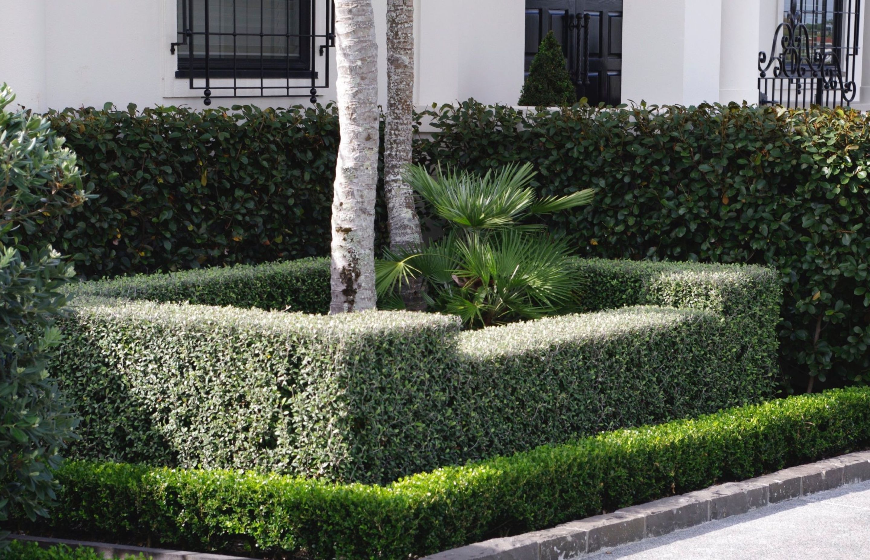 Project featuring Living Screen, Living Boundary, and Living Edge instant hedges