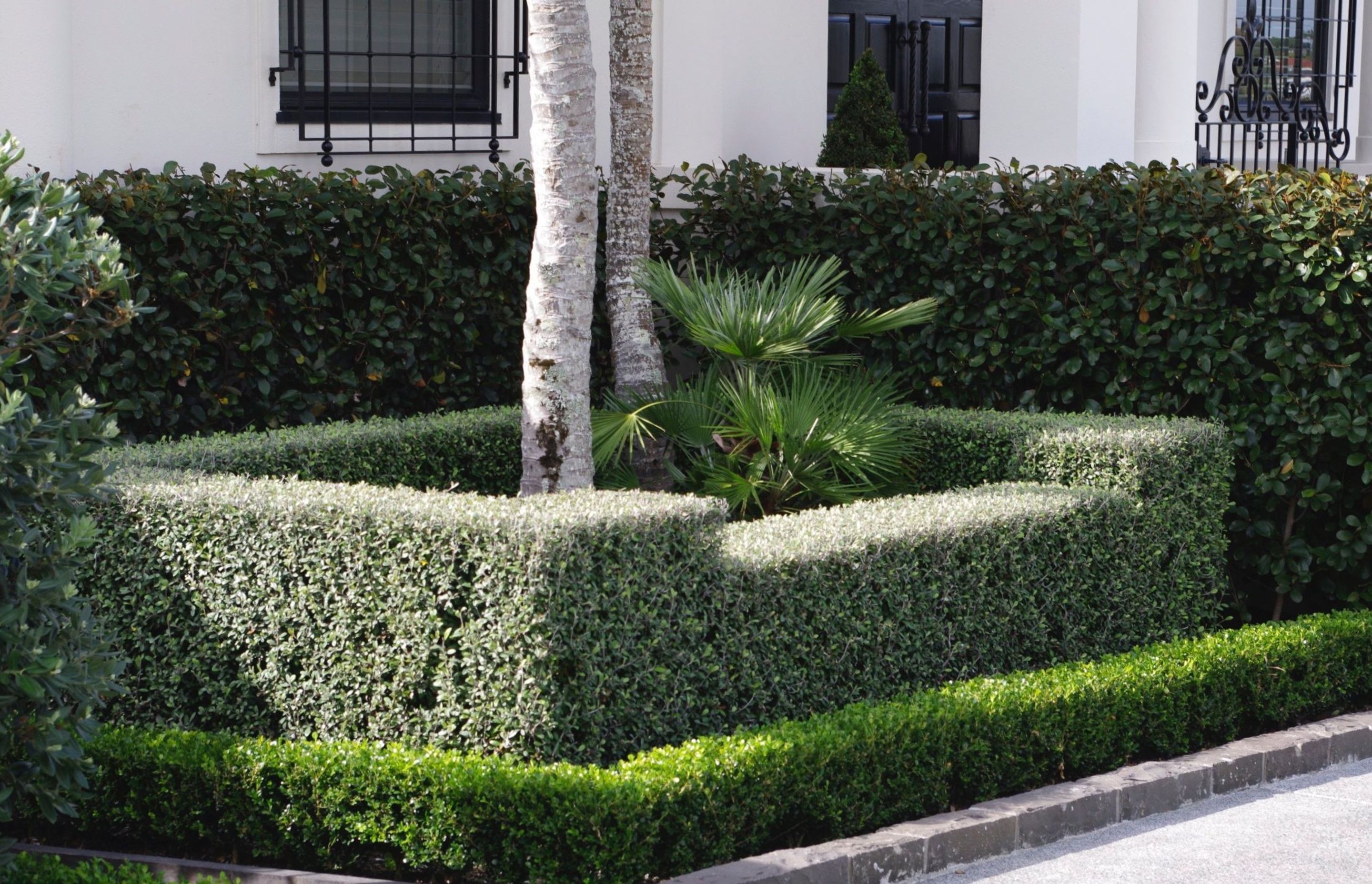 Project featuring Living Screen, Living Boundary, and Living Edge instant hedges