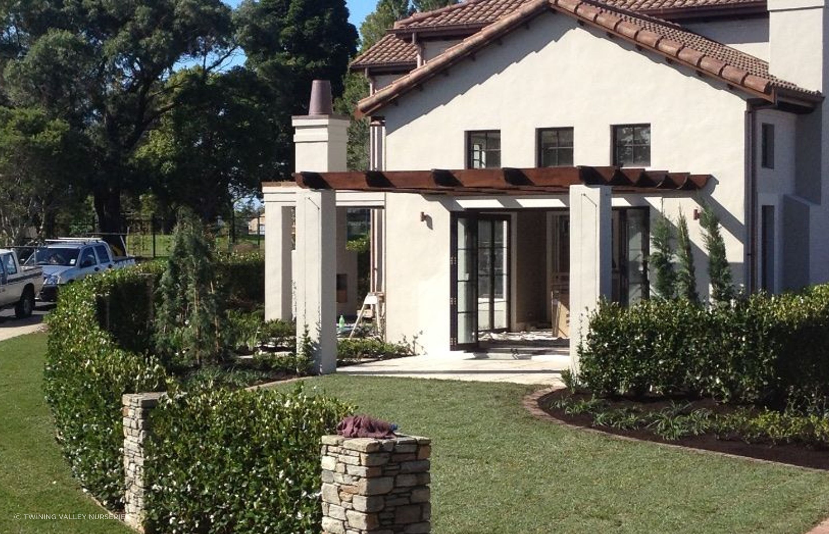 After - A gorgeous green boundary created by installing Griselinia 'Ardmore Emerald’ instant hedges