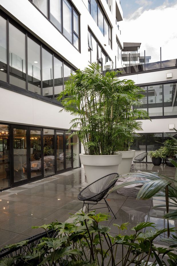 A contemporary multi-storey glazed courtyard or atrium with white walls, extensive black-framed windows, polished dark stone paving, large white planters, lush tropical greenery, and black wire lounge chairs. The space appears to serve as a landscaped shared outdoor courtyard with adjoining interior rooms visible through glazing.