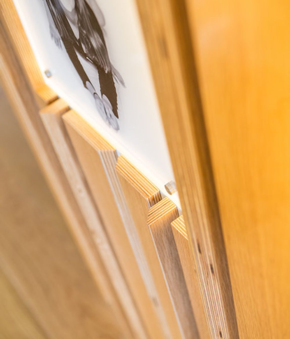 Details in the oak plywood feature wall highlight the materials.