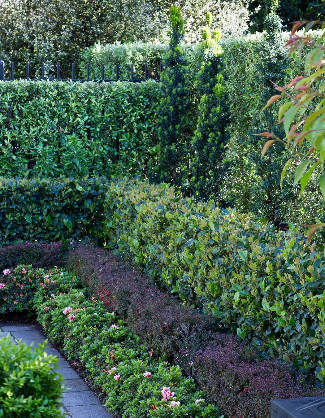 Layered hedges