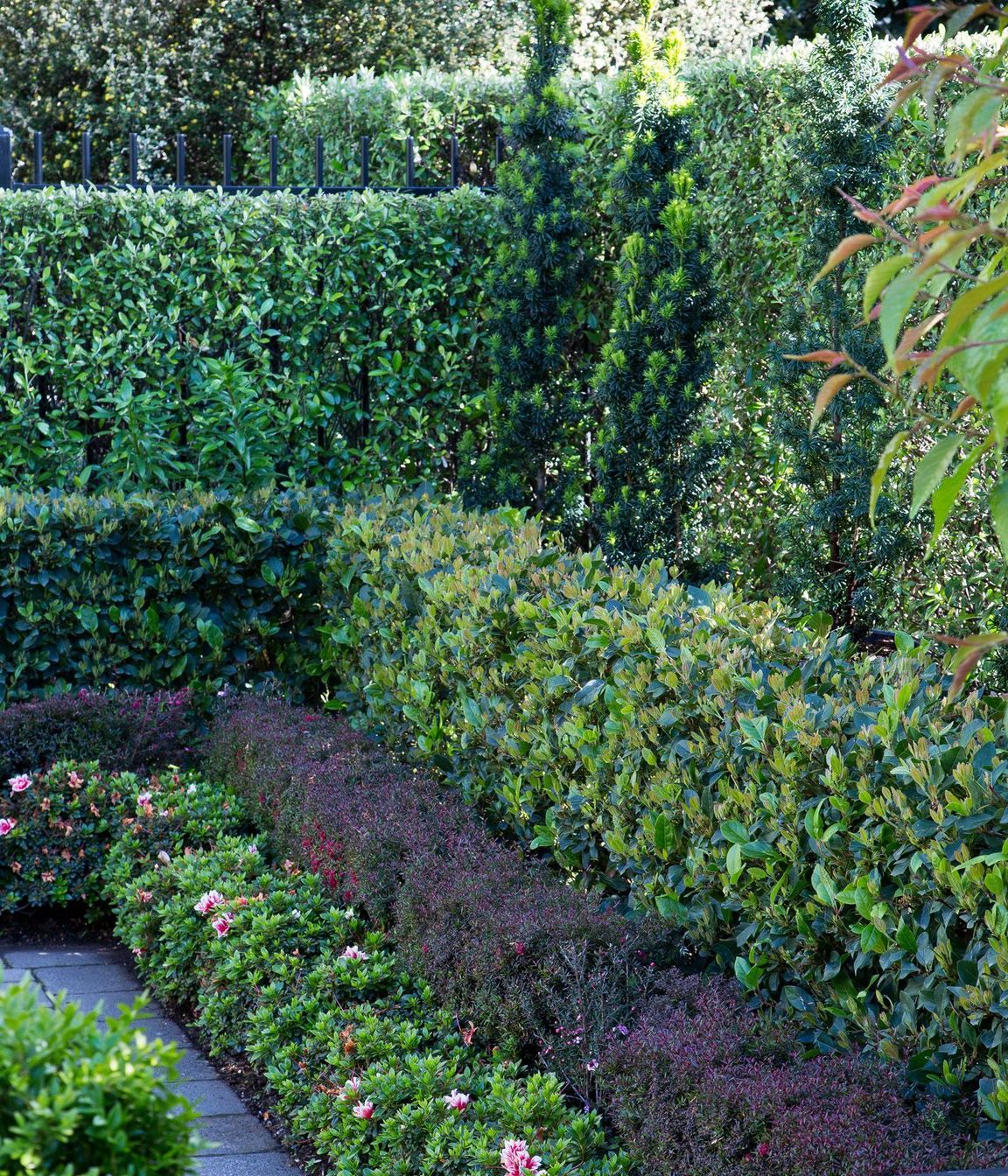 Layered hedges