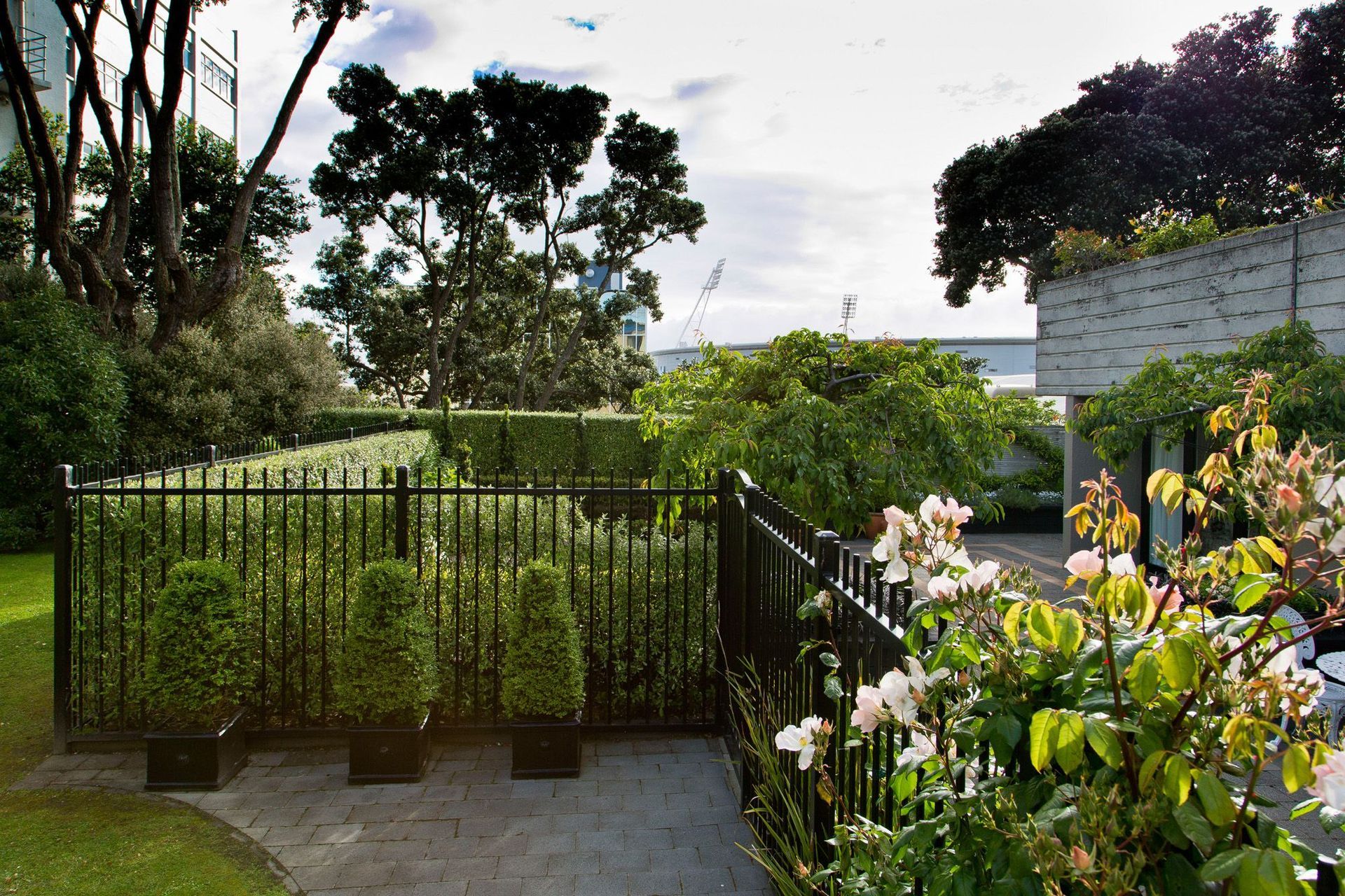 New Black fence for privacy & security