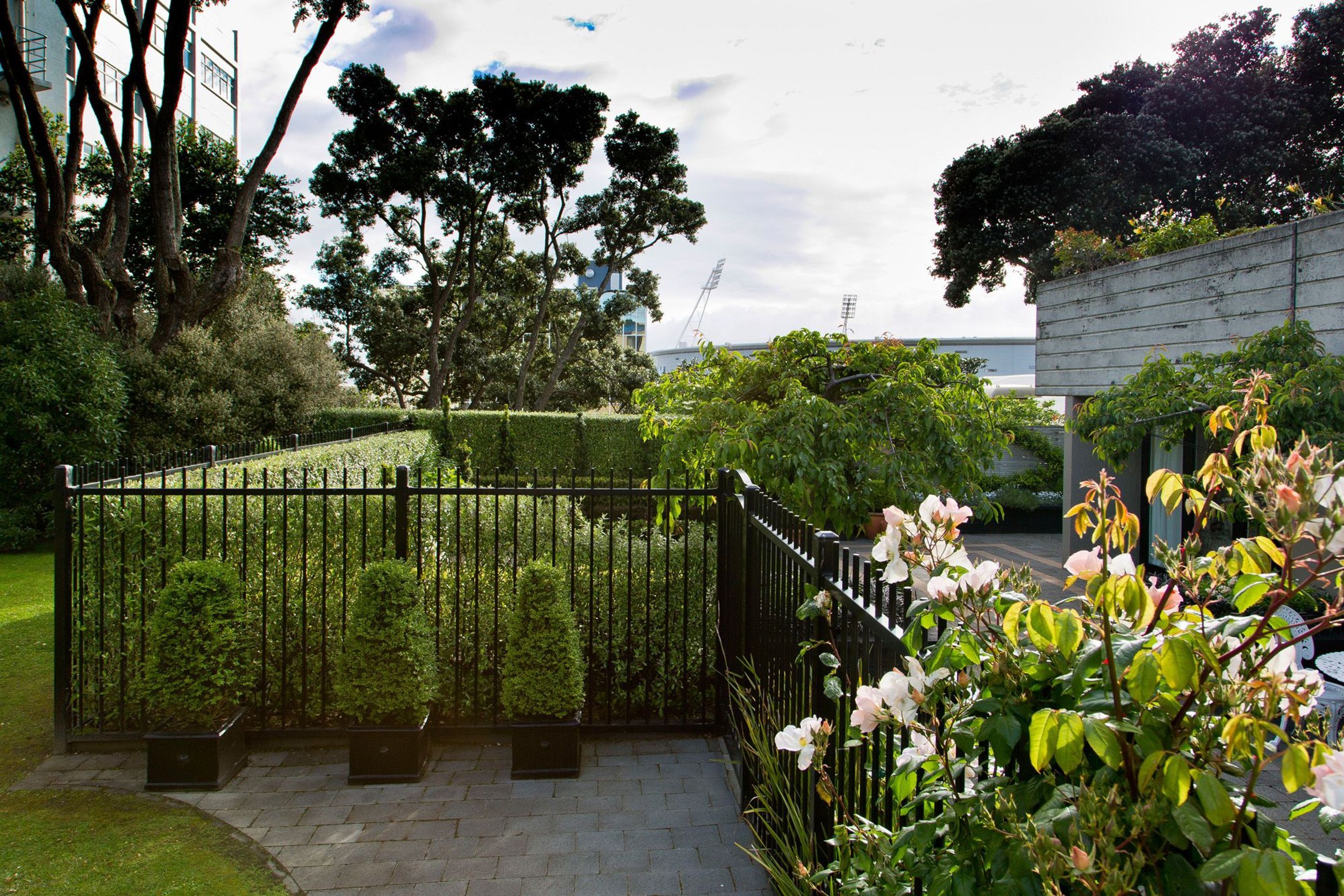 New Black fence for privacy &amp; security