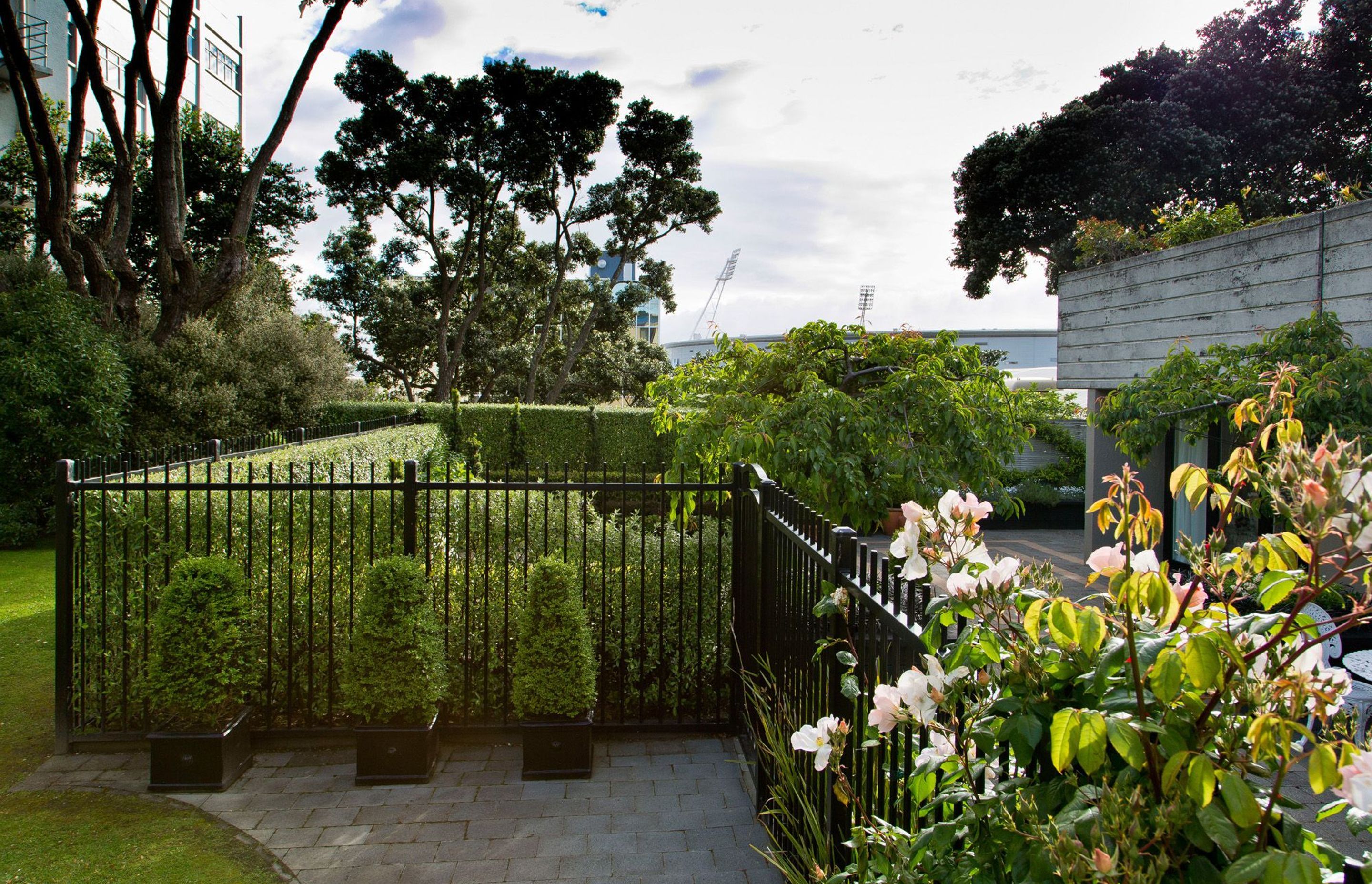 New Black fence for privacy & security