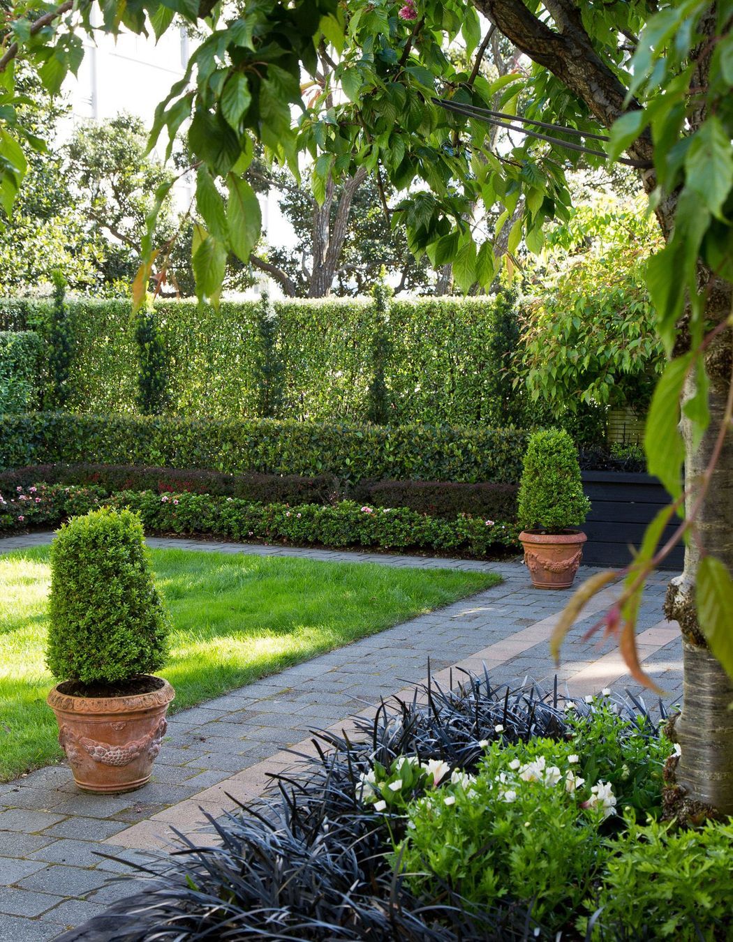 Formal hedging and columns of Irish Yew