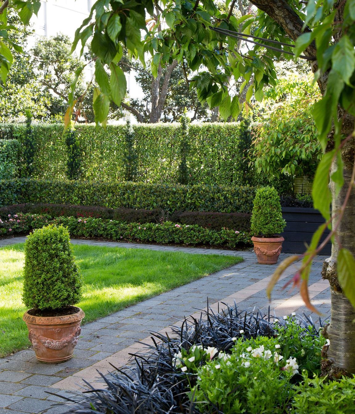 Formal hedging and columns of Irish Yew