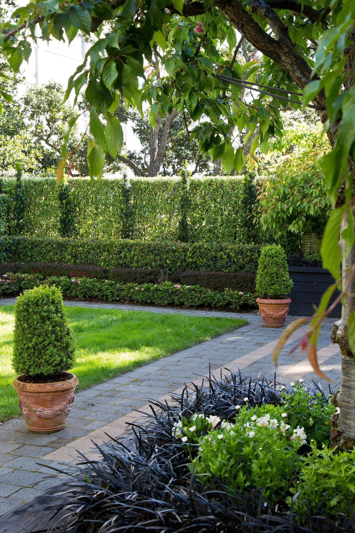 Formal hedging and columns of Irish Yew